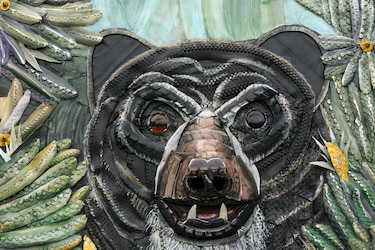 Retiran 2,000 neumáticos usados de las Islas Galápagos para proteger ecosistemas marinos