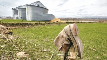 Acceso a la tierra frena relevo generacional en la agricultura