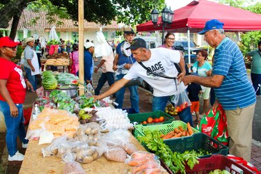 Este 14 y 15 de julio, consigue arroz a $5.00 y otros productos en las Agroferias del IMA