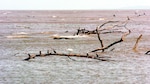 Costas que se traga el mar