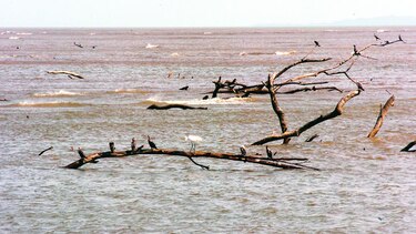 Costas que se traga el mar