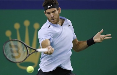Del Potro pasa a semifinales en Estocolmo