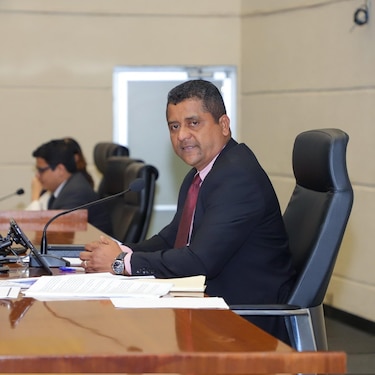 Pasaportes oficiales: los viajes de los diputados en 2025, entre foros globales y agendas selectivas