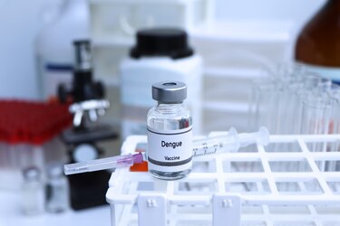 Dengue en Panamá: ¿Vacunar o no vacunar? 