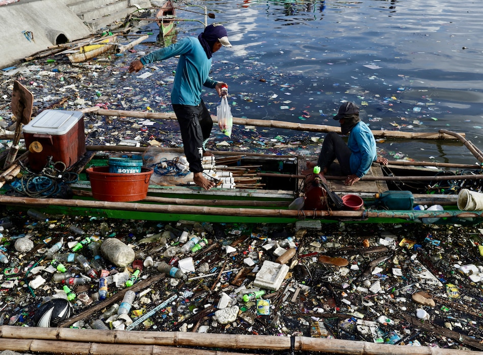 Identifican la dosis letal de plásticos para aves marinas, tortugas marinas y mamíferos marinos