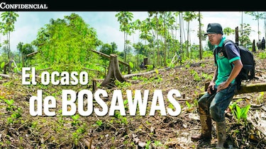 Intereses detrás del daño ambiental