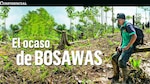 Intereses detrás del daño ambiental