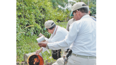 Minsa reporta un aumento de casos de dengue este año