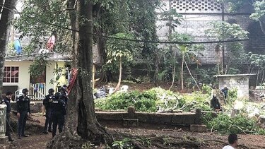 Miviot y alcaldesa encargada de Panamá se enfrentan por tala de árboles en Brooklincito
