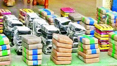 Descubren 306 paquetes de droga en playa El Salado