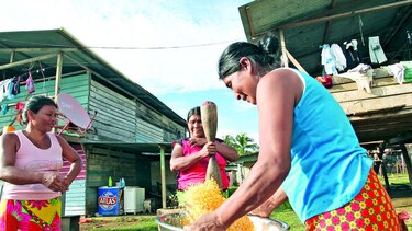 Vida que emerge del río