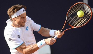 Ferrer venció a Zverev y jugará la final contra Mayer