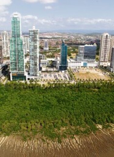 Revisarán concesiones en humedal de la bahía