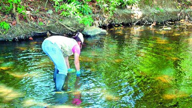 Analizan pureza de afluente del río La Villa