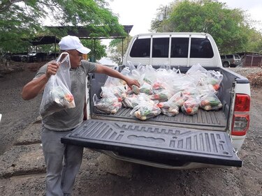 Recomiendan incluir verduras y hortalizas en bolsas de comida