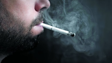 El cigarrillo en el organismo