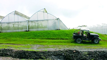 Aumenta producción en invernaderos