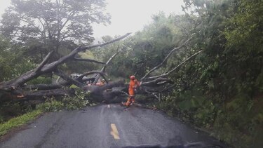 Varias comunidades de Los Santos y Bocas del Toro afectadas tras fuertes lluvias