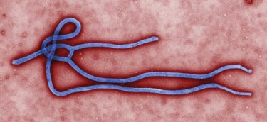 Enfermera se convierte en la segunda víctima mortal por ébola en Nigeria