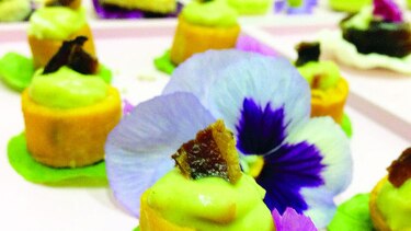 Cocina gourmet: Amor por la cocina