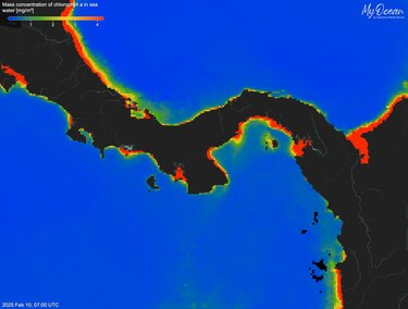 Golfo de Panamá no registra afloramiento marino por primera vez en 40 años, según el STRI