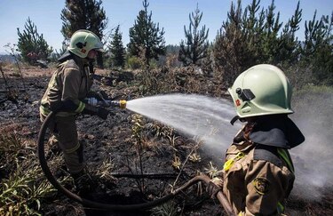 Mueren tres brigadistas en Chile en incendio forestal
