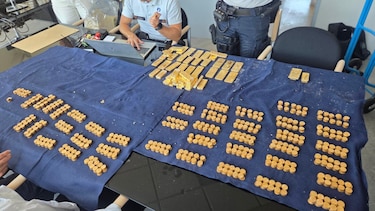 Los obreros que descubrieron un tesoro de $10 millones en lingotes y monedas de oro sepultado en las paredes de una casa en Bélgica