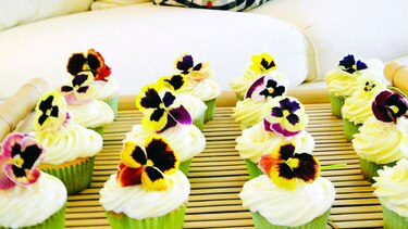 Cocina gourmet: Recibiendo a mis invitados