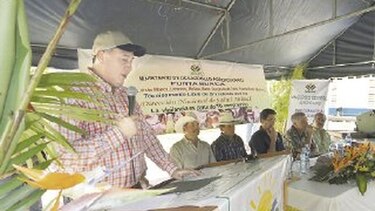 Región de Burica está libre de brucelosis