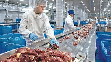 Salmonela toca a la carne molida