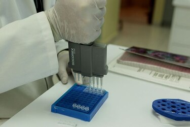10 mitos del trasplante de médula ósea