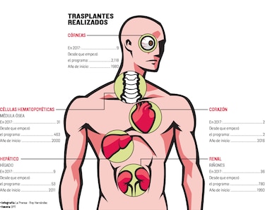 A fase final, consulta sobre los trasplantes