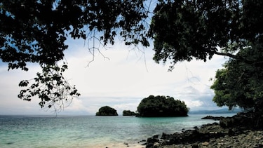 Denuncia administrativa contra estudio ambiental de pista aérea en parque Coiba