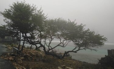 Tormenta Elsa azota a Cuba tras dejar al menos tres muertos en el Caribe