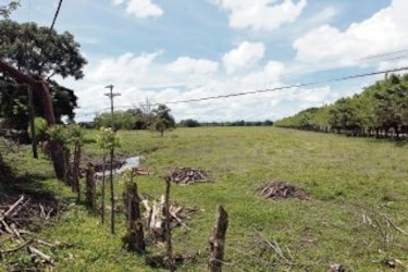 Bandas se dedican a clonar títulos de fincas