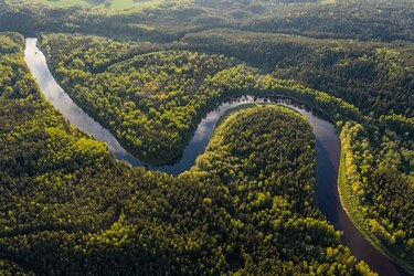 ¿Qué se juega América Latina en la cumbre del clima?