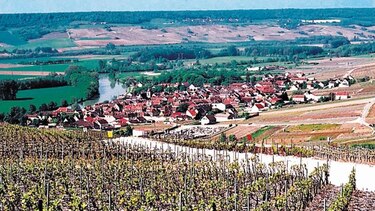 Con el cambio climático, el futuro aflige a las bodegas