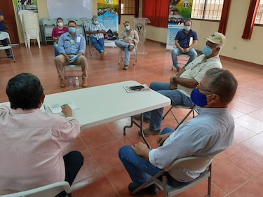 Gobierno comprará 2 mil novillos a ganaderos de todas las provincias