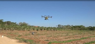 Agricultores herreranos usan drones para fumigar los cultivos