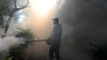 OMS crea una unidad especial contra el virus zika