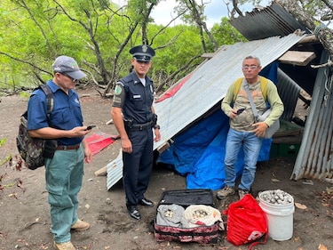 Decomisan más de 2 mil huevos de tortuga en Los Santos