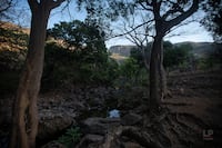 Un oasis en el Arco Seco de Panamá