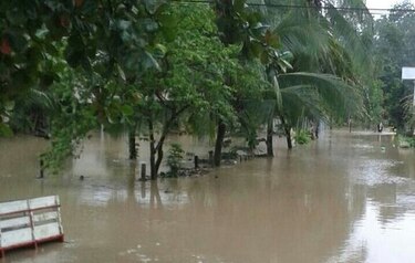 Lluvias dejan pérdidas por 5 millones de dólares en productos agrícolas