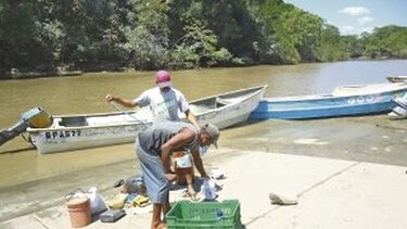 Pescadores regresan a sus faenas