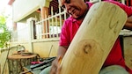 En la cadencia del tamborito