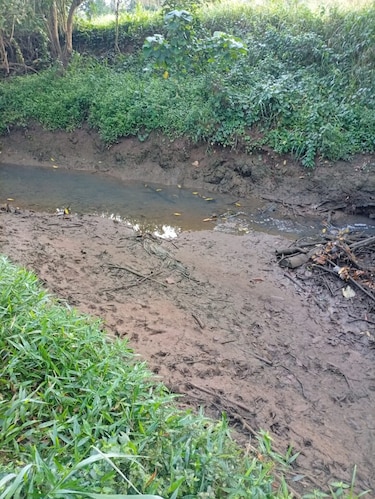 Ausencia de lluvia afecta 11 cuencas hidrográficas y aumenta la presión sobre las fuentes de agua potable