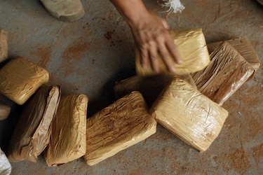 Detienen tres salvadoreños, un mexicano y menor panameña por drogas en Panamá