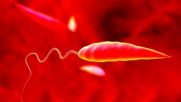 Más allá de las enfermedades infecciosas