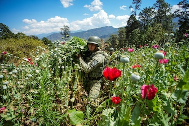 Estados Unidos acusa a China en la ONU de inacción y pasividad en la lucha contra el fentanilo