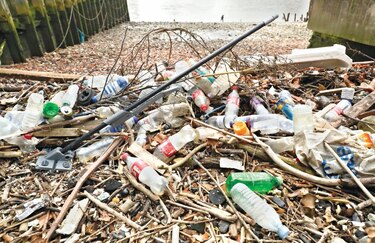 Llega el rival ecológico de las pajillas plásticas 